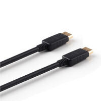 2m Display Port M-M Cable